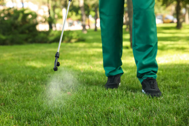 Best Exterminator Services  in Bardstown, KY