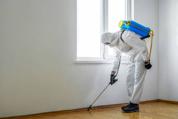 Best Pest Removal Services  in Bardstown, KY