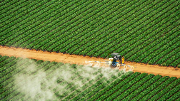 Best Pest Control Cost  in Bardstown, KY