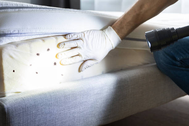 Pest Control for Restaurants in Bardstown, KY
