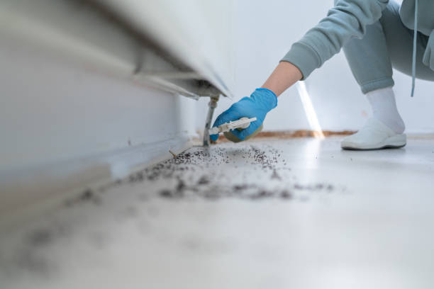 Pest Control Cost in Bardstown, KY